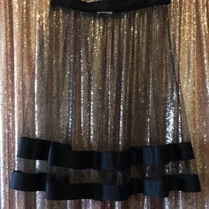 Sheer stripe black skirt 2X